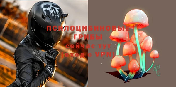 соль ск Кукмор