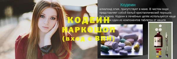соль ск Кукмор