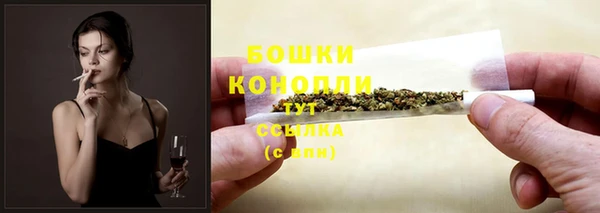 соль ск Кукмор