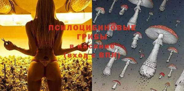 соль ск Кукмор