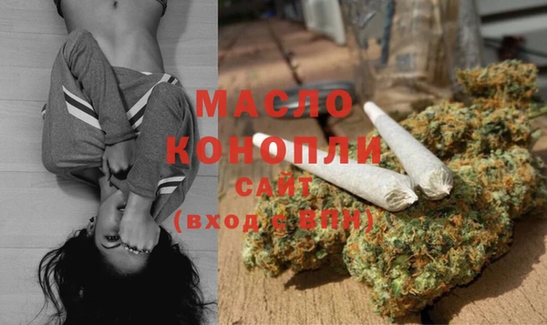 соль ск Кукмор