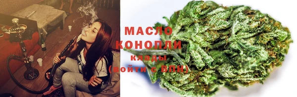 соль ск Кукмор