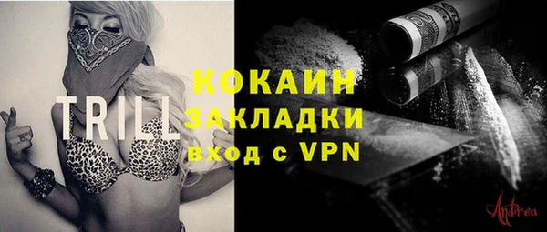 соль ск Кукмор